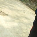 콘테이너목장 이미지