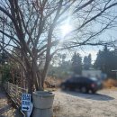 (합)우리렌터카 | 제주도 제주시 맛집 회심 고등어참깨소바 누룩연어덮밥 게우초밥 내돈내산 솔직 후기