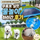 와우애견 | 포천 애견카페 l 가산면_"몽드드뚜뚜" l 무료 물놀이장과 넓은 천연잔디에서 뛰뛰하고 온 후기