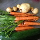 그랑프리안경콘택트 이미지