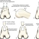 고래힐 동물병원 이미지