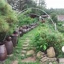 정이민박 이미지