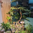 옵데강숯불갈비 이미지