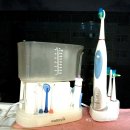 김송 심각 근황ㄷㄷ 한국기자협회 현재상황..트럼프 &#34;3500억불 받았다&#34;??? 유시민 &#34;윤 있었어봐&#34; (박지원 일갈) 이미지