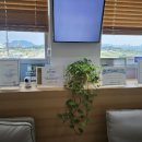 바른유외과의원 이미지