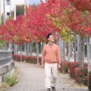 보성공구 이미지