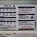 예뻐지개냥 이미지