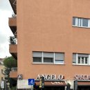 트리파 | 로마 정통 카르보나라 맛집 | 바티칸 ANGELO Trattoria 솔직 후기