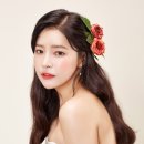 멥시 Daum카페