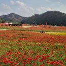 산소카페 청송정원 매표소 근처 이미지