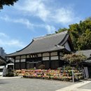 명사십리52 이미지