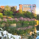 일화목장 이미지