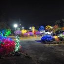 군산장어 이미지