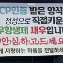 철없는 새우 이미지