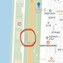 안양1동 진흥육교 밑 | 서울 가볼 만한 곳 5월 축제 서울 장미축제 중랑천 장미공원
