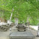 대관령자연휴양림 이미지