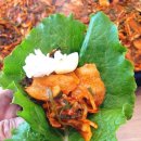 청주불고기식당 | 출장혼밥 청주 봉용불고기. 봉자 또간집 1위식당에서 3인상 후기