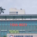 국제 VISA 행정사 사무소 이미지