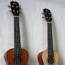 우쿨렐레지도자자격증과정 이미지