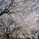 국제금속 | 제25회 국제포장기자재전-KOREA PACK 2026 원텍 참관 후기