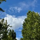 샵스케줄 공원 이미지