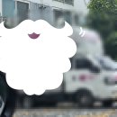 마포1관정상어학원 | 나도 이제 경기도민! 고향 친구와 홍대투어 (카드캡터사쿠라전, AK프라자)