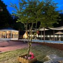 제이위드 이미지