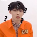 반짝이언냐 | 더보이즈 더블레이즈 중콘 후기