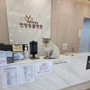 연향동물병원 이미지
