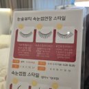 눈숲 이미지