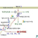 동아펜션 이미지
