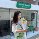 스테디띵스