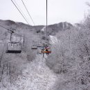 리조트온라인