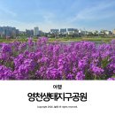 조양각 | 영천 생태지구공원 보라 유채꽃 작약 대구 근교 아이랑 꽃구경 가볼 만한 곳