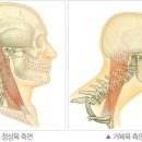 봄꽃한의원 이미지