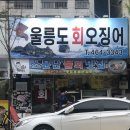 울릉도회오징어 이미지