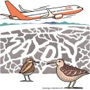 메이데이 이미지