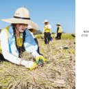 자원봉사센터센터 2층 이미지