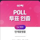 아이돌차트 poll투표 이미지