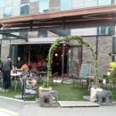 어반트리(Urban Tree)
