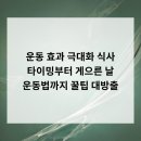 게으른 날 이미지