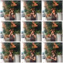 칠성로2길-2 이미지