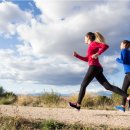 독일렉스톤보청기수원점 이미지