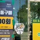 해피애견 | 천안 두정동 애견카페 추천,솔직후기 [해피멍]