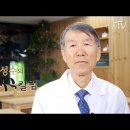 건강플러스 요가 C | 다이어트식품 여름을 자신있게…뱃살 쏙 들어가게 해주는 식품 - 휙콜