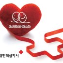 Upartners건축사사무소대경 | 적십자와 친구가 되었어요~ (2010년)