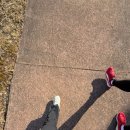 동신안경 | [Gongju] 공주한옥마을 별채 숙소 후기 ☁️ 🌤️ 🌙 🌅 🕊️ 🍵