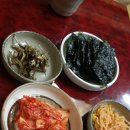 연안생태찌개