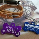 아까비당구장 이미지