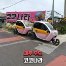 차빛나라손세차장 | 우도전기차 대여 후기 우도가볼만한곳 코코나라 오픈카 추천